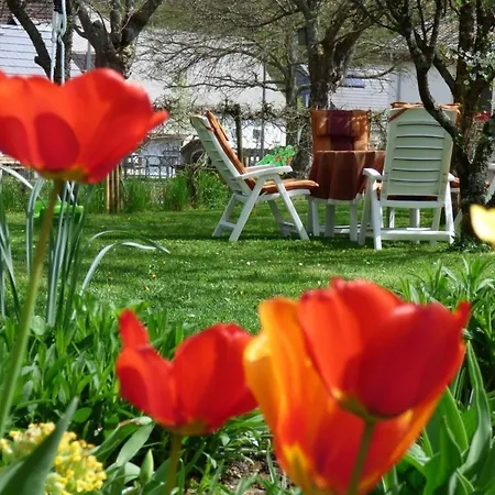 In By Interhome Apartment