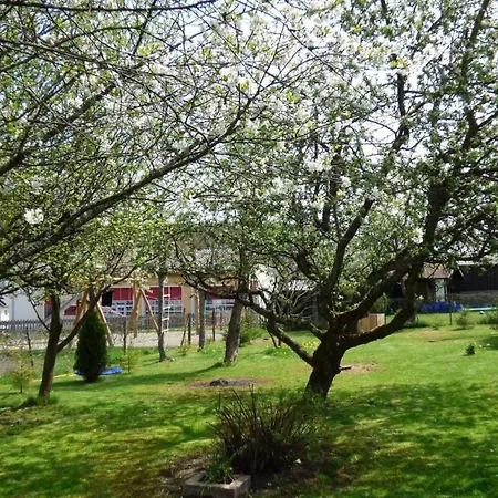 In By Interhome Apartment